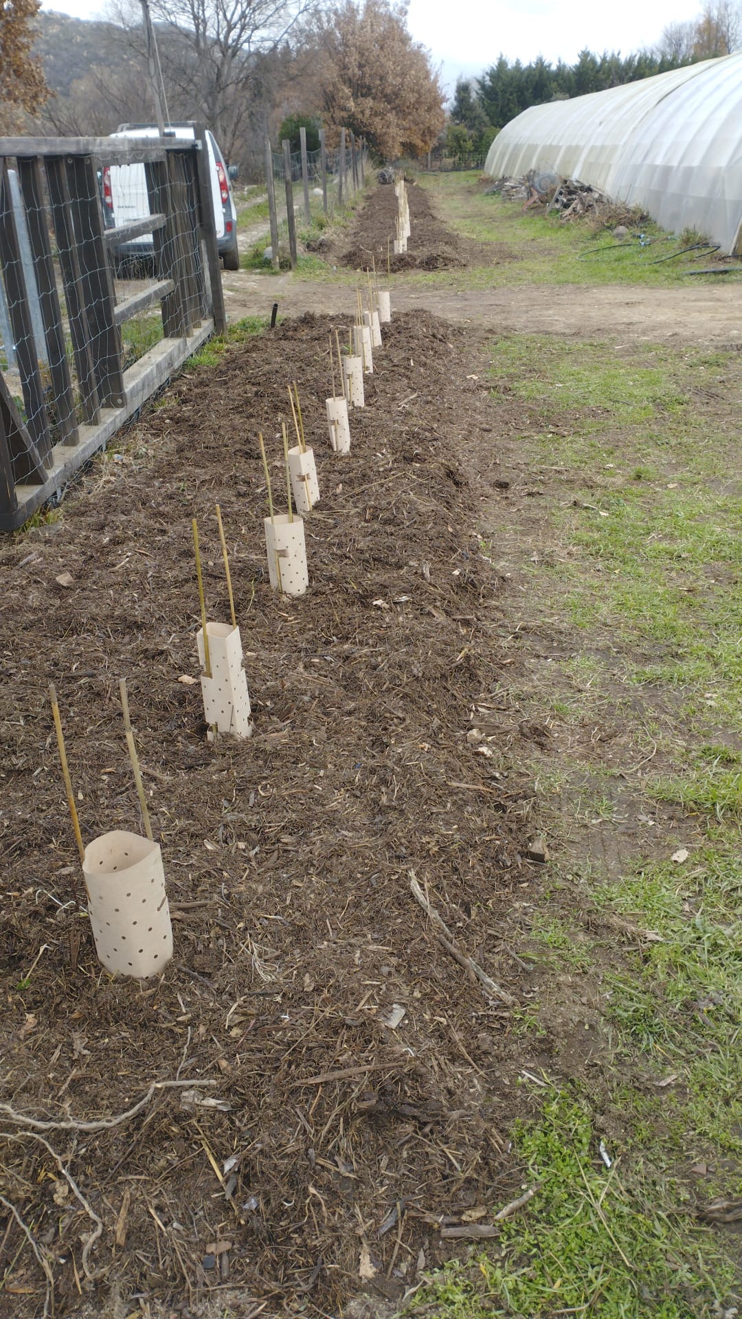 2026: Plantation de haies&nbsp;champêtres
